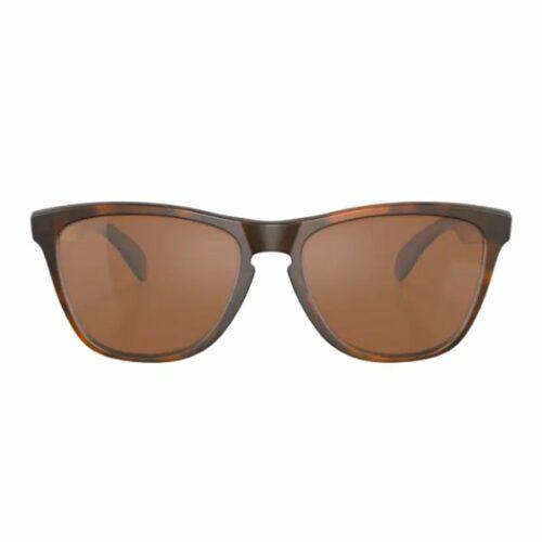 Oakley Sunglasses 9013-C5 Frogskins - Image 3